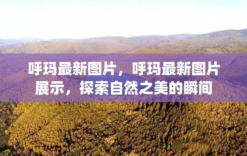 呼玛最新图片展示，探索自然之美的瞬间
