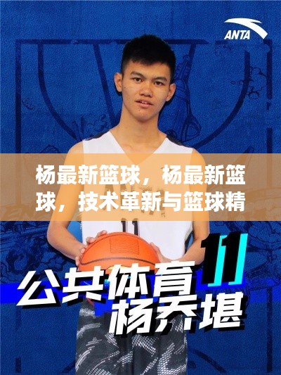 杨最新篮球，技术革新与篮球精神的完美融合