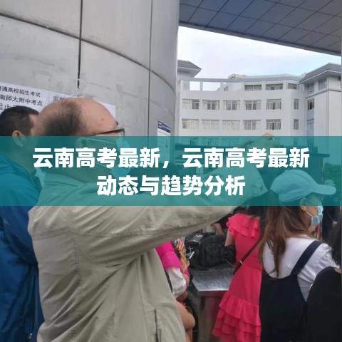 云南高考最新动态及趋势分析