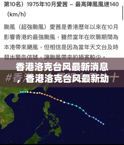 香港洛克台风最新消息与影响分析，实时动态及深度剖析