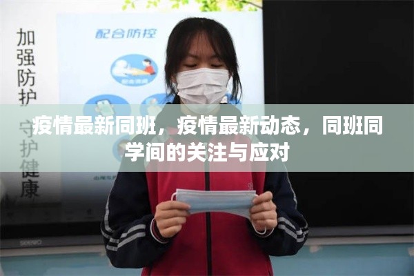 疫情最新动态，同班同学间的关注与应对策略