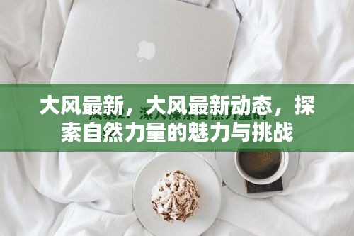 大风最新动态，探索自然力量的魅力与挑战揭秘