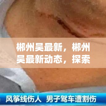 探索郴州吴最新动态，城市新面貌与发展前景展望