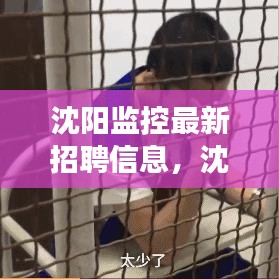 沈阳监控岗位最新招聘信息概览，黄金机会与挑战的职业发展之路
