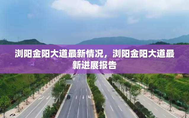 浏阳金阳大道最新进展报告及最新情况概述