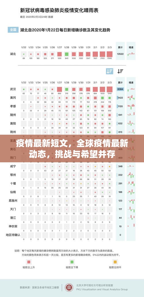 全球疫情最新动态，挑战与希望的并存短评