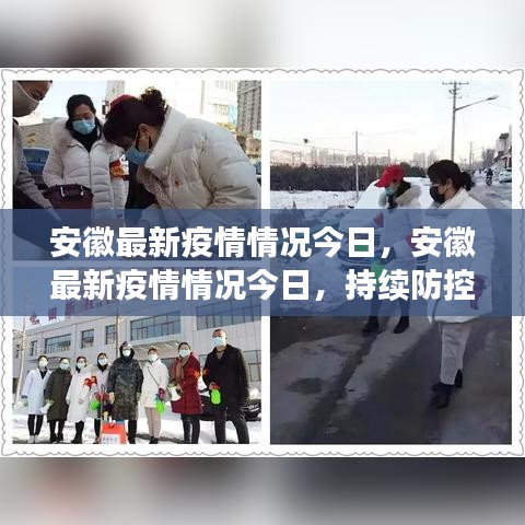 安徽最新疫情动态，持续防控，共克时艰