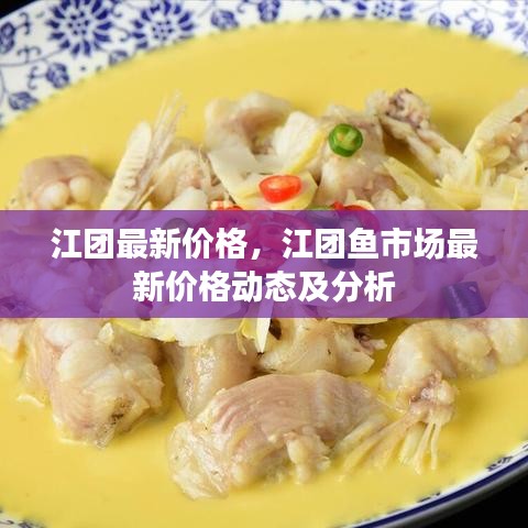 江团最新价格动态，市场分析与鱼价概览