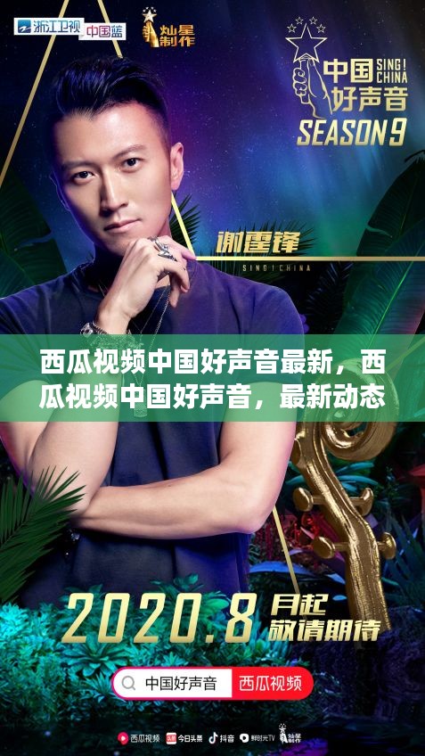 西瓜视频中国好声音最新动态与深度解读