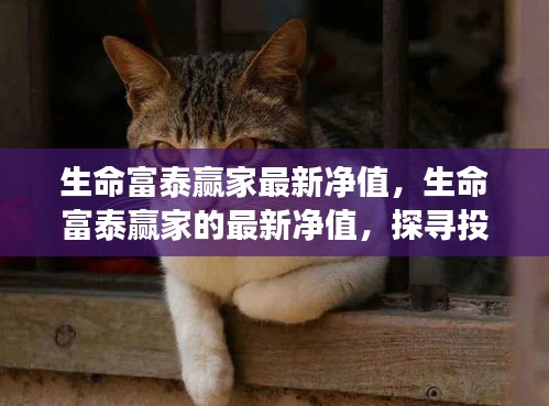 生命富泰赢家最新净值揭秘，探寻投资之道，把握财富增长机遇