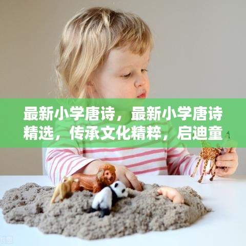 小学唐诗精选传承文化精粹，启迪智慧之光