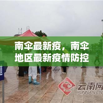 南伞地区最新疫情防控动态更新