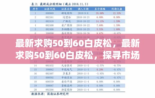 最新求购50至60公分白皮松，市场趋势与选购策略解析