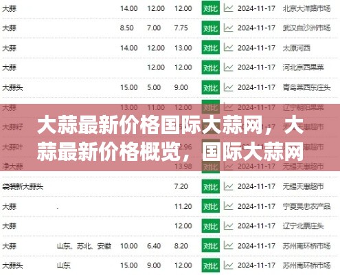 大蒜最新价格概览，国际大蒜网市场洞察报告