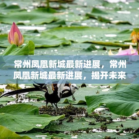 常州凤凰新城最新进展揭秘，未来城市的崭新面貌初现端倪