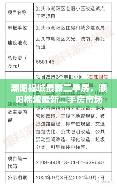潮阳棉城最新二手房市场概览与购房指南