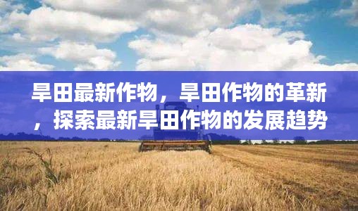探索旱田作物革新，最新作物发展趋势与前景展望
