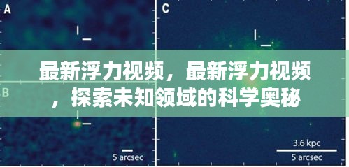 最新浮力视频，探索未知领域的科学奥秘之旅