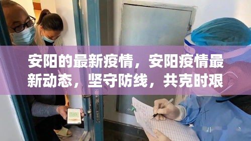 草率从事 第3页