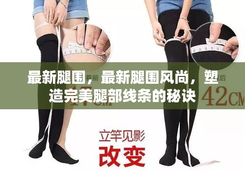 塑造完美腿部线条的秘诀，最新腿围风尚指南