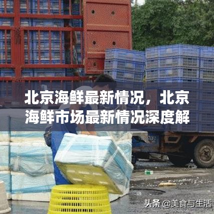 北京海鲜市场最新态势深度解析