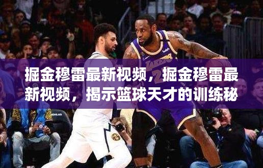 掘金穆雷最新视频揭秘，篮球天才的训练秘诀与成长轨迹揭秘