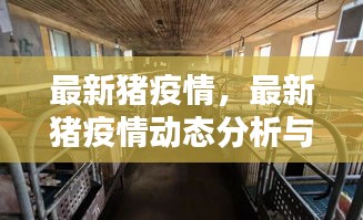 最新猪疫情动态分析，应对策略及最新动态报告