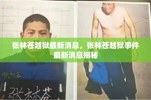 张林苍越狱事件最新消息曝光，揭秘最新动态与进展