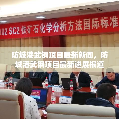 防城港武钢项目最新进展与新闻报道汇总
