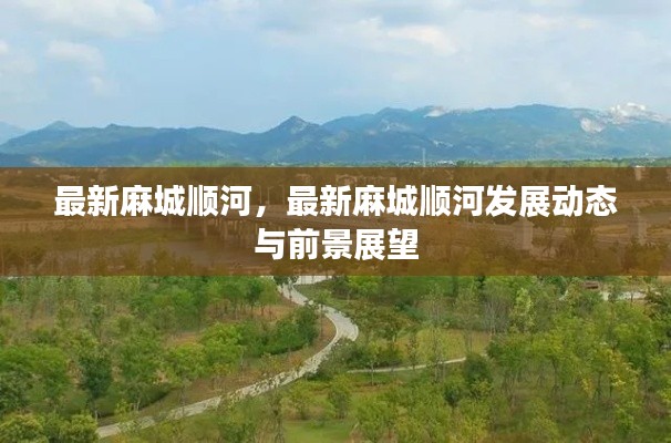 麻城顺河最新发展动态及前景展望