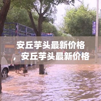 白璧无瑕 第3页