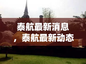 泰航最新消息揭秘，探索未来航空新篇章的泰航动态