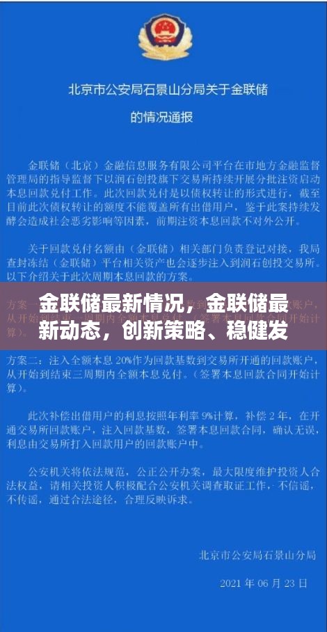 金联储最新动态及创新策略，稳健发展路径与未来展望