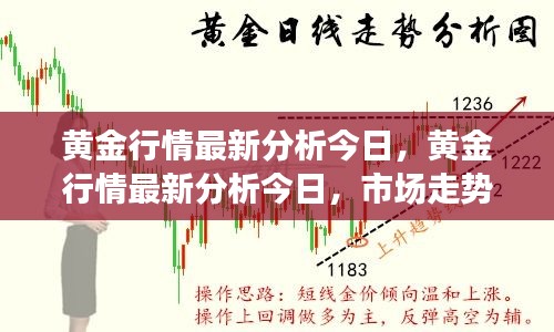 黄金行情最新分析，今日市场走势、影响因素与投资策略探讨
