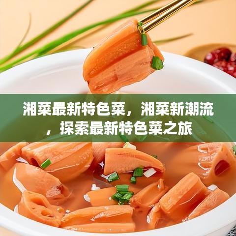 湘菜新潮流探索，最新特色菜之旅