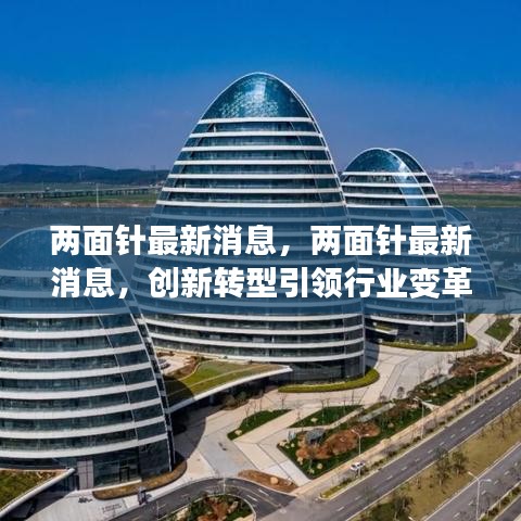 两面针创新转型引领行业变革，战略布局揭晓未来蓝图最新消息