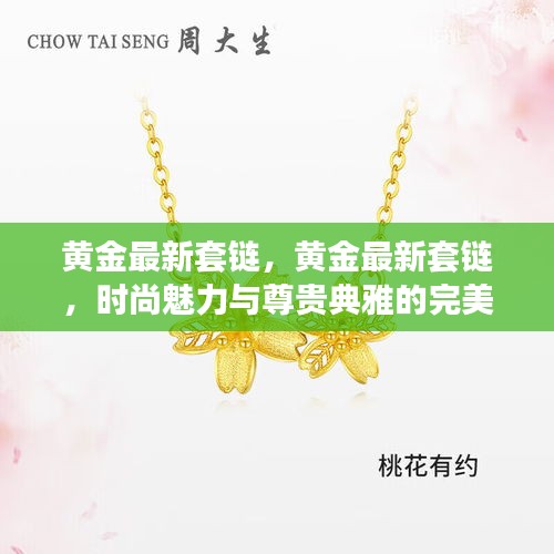 黄金最新套链，时尚魅力与尊贵典雅的完美结合展现独特风采