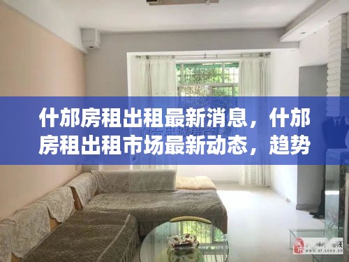 鸟骇鼠窜 第3页