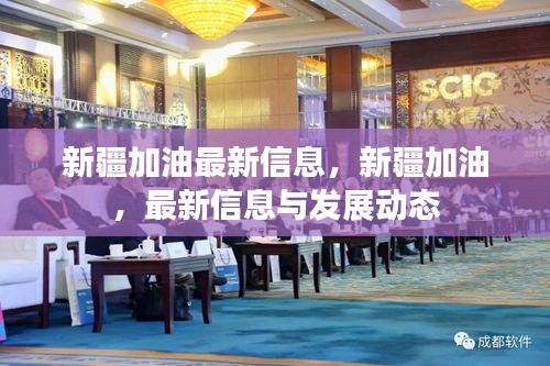 新疆加油，最新信息与发展动态速递