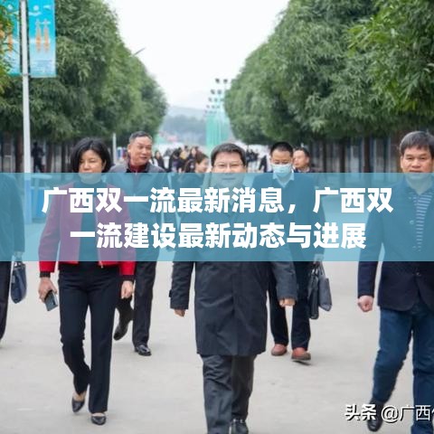 广西双一流建设最新动态与进展速递