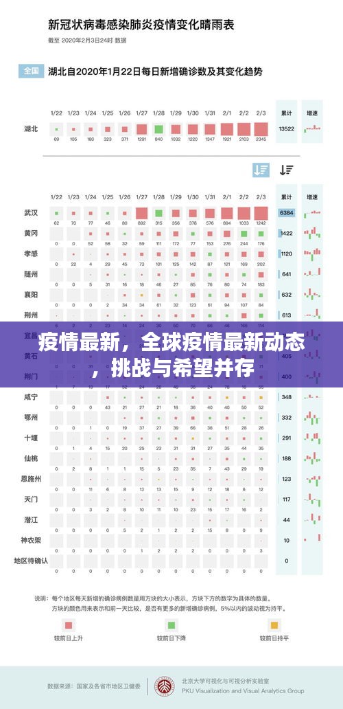 全球疫情最新动态，挑战与希望并存之际的进展报告