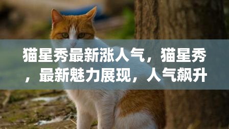 斫琱为朴 第3页