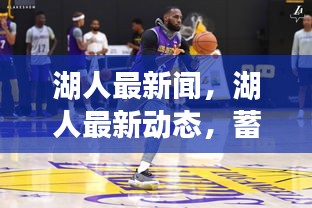 湖人蓄势待发，最新动态聚焦总冠军荣耀之路