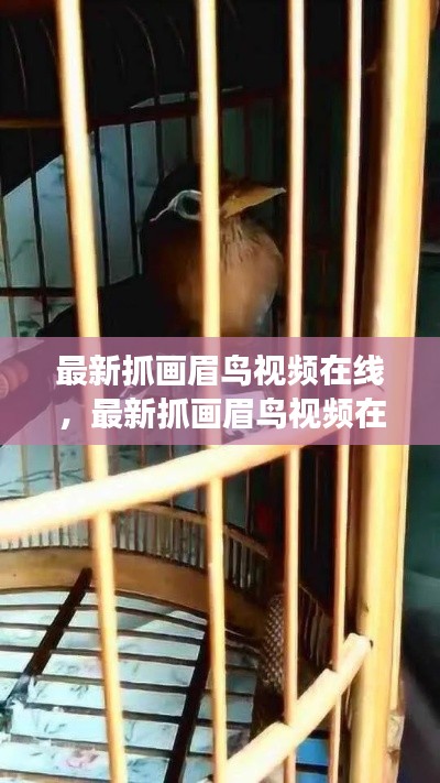毛手毛脚 第3页