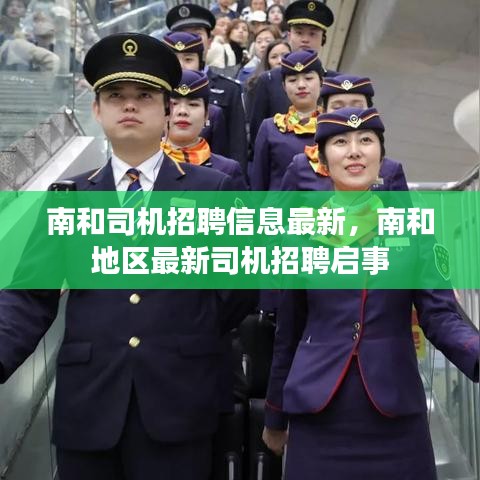 南和地区最新司机招聘信息发布，寻找合适的驾驶人才