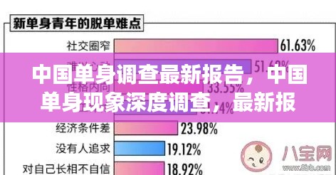 中国单身现象深度调查最新报告，趋势、洞察与单身生活实录