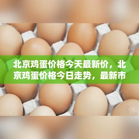 北京鸡蛋今日价格及市场行情深度解析