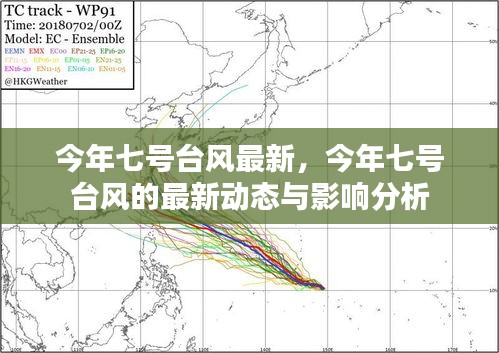 今年七号台风最新动态与影响分析报告