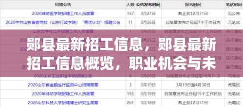 郧县最新招工信息概览，职业机会与未来发展前景探索