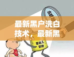 揭秘最新黑户洗白技术，风险与法律间的博弈之道